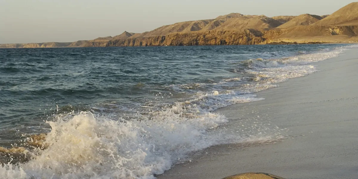 ras al hadd beach in oman