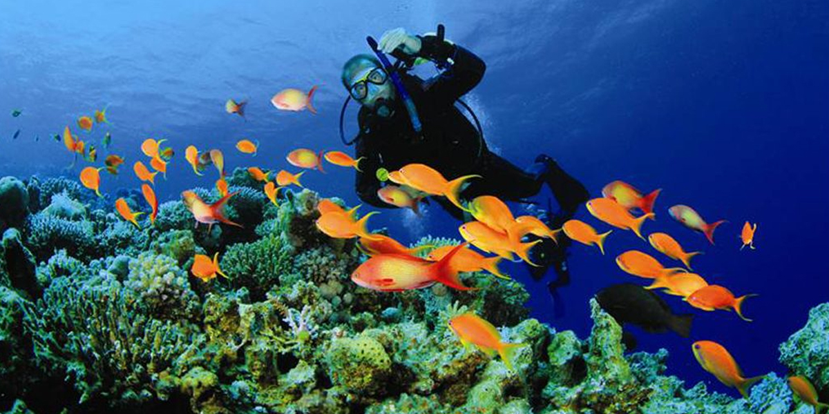 scuba diving at qantab beach bandar khayran adventurous things to do in oman instaomanvisa